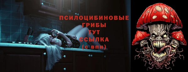 Альфа ПВП Алзамай