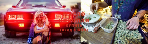 Альфа ПВП Алзамай