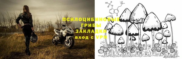 Альфа ПВП Алзамай