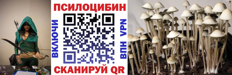 Псилоцибиновые грибы ЛСД  Владивосток 